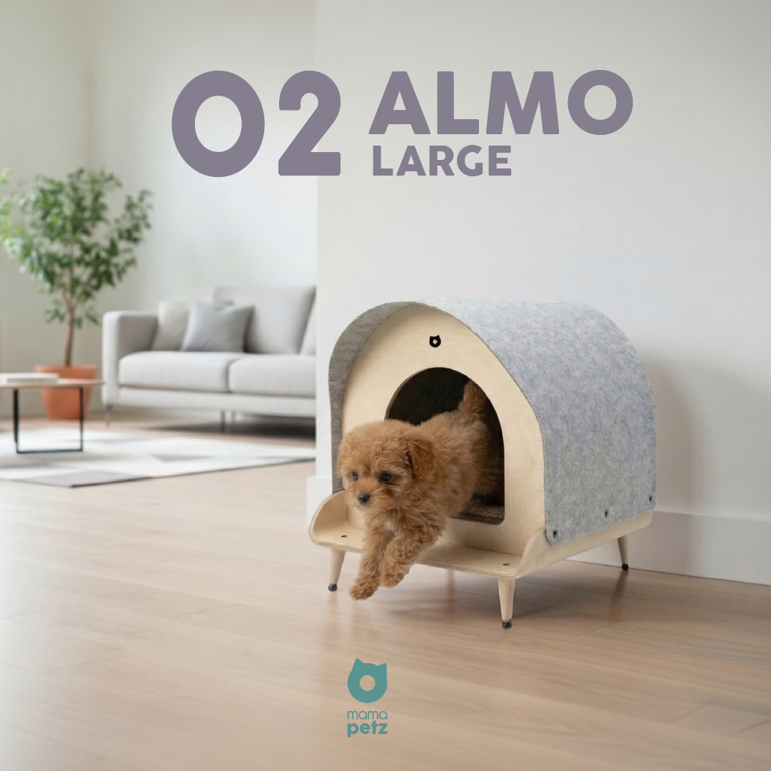 02 ALMO MEDIUM