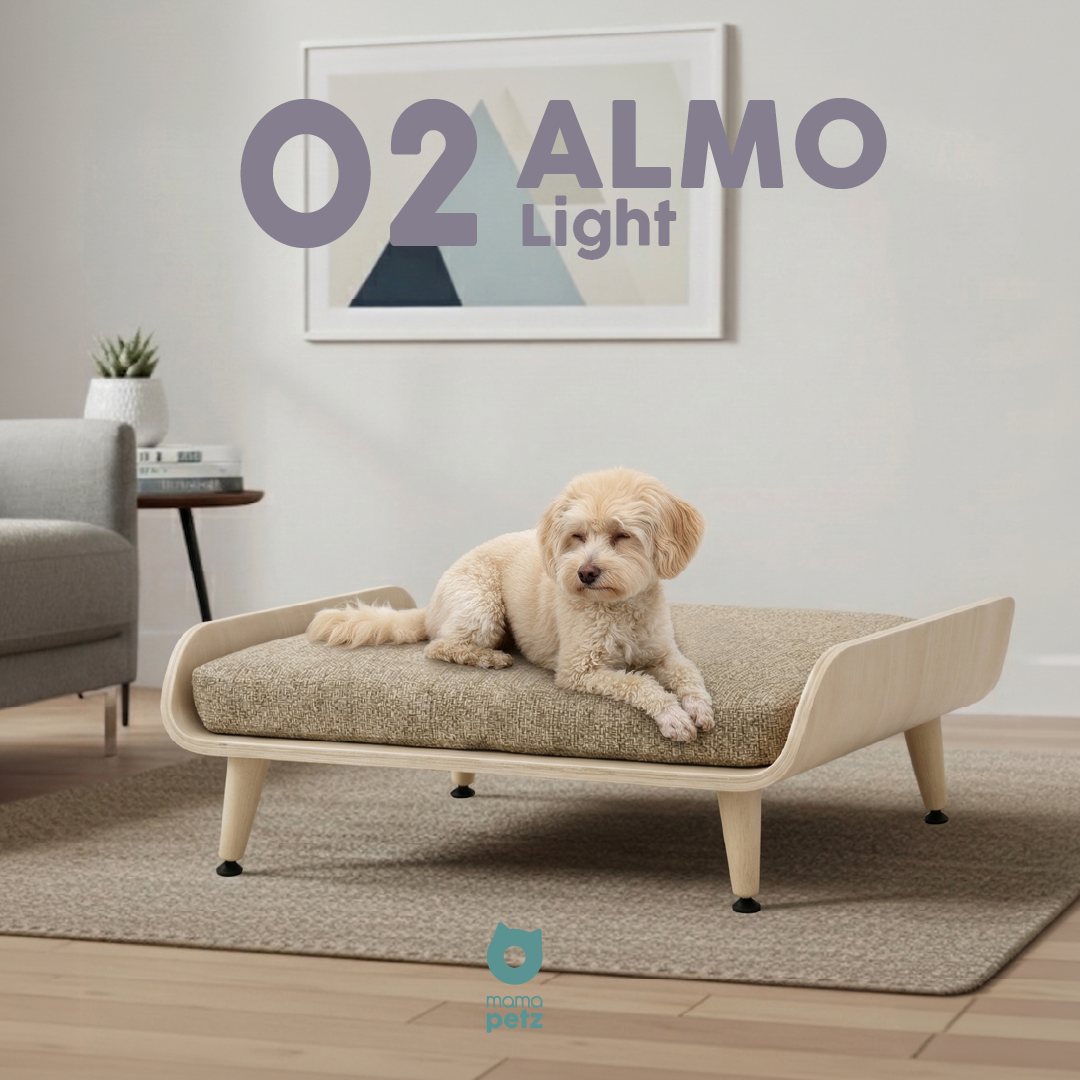 02 ALMO LIGHT