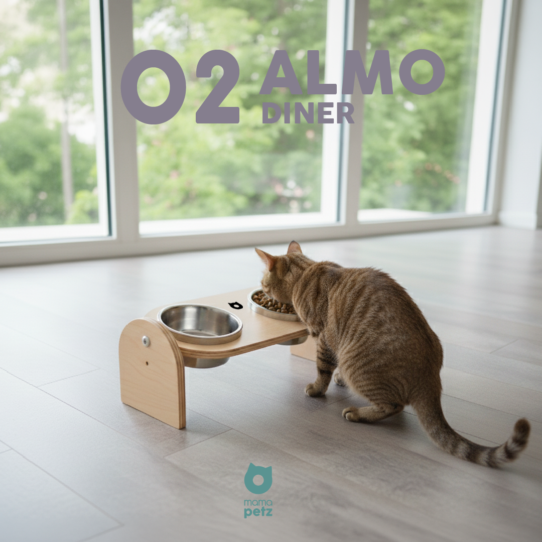 02 ALMO DINNER