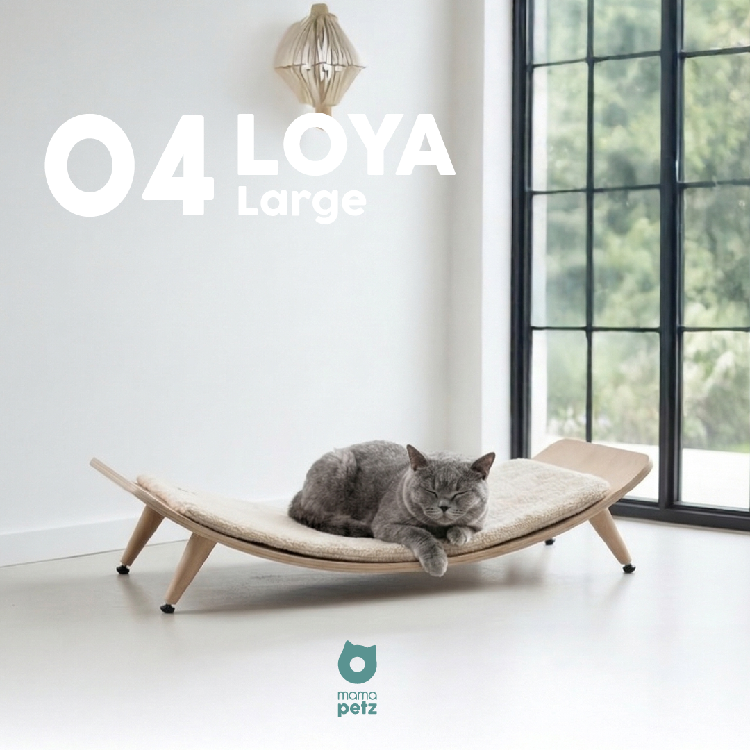 04 LOYA GROSS